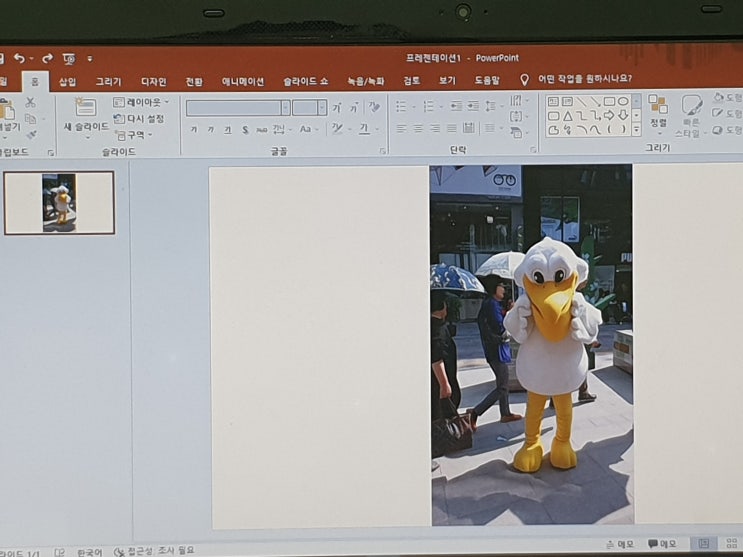 PPT 배경제거 이렇게 사진 이미지가 편집이 돼? PPT 배경제거 이렇게 사진 이미지가 편집이 돼?