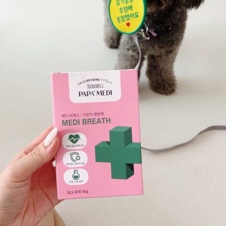  반려견 켁켁거림 파파메디 강아지 기관지 영양제 메디브레스