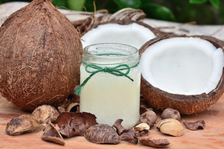 심장병 예방의 새로운 수단 ㅡ 코코넛 오일