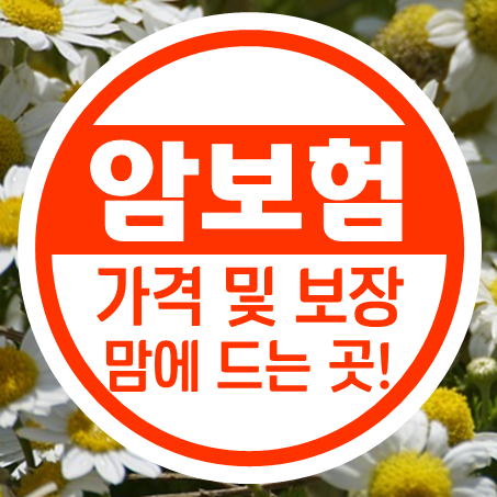  인터넷암보험 가격과 보장 모두 마음에 드는 곳으로!