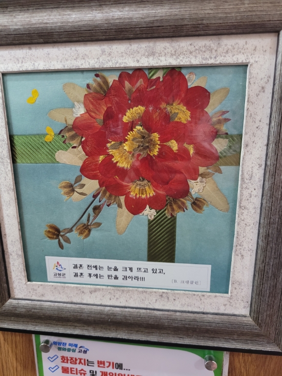  강원도 고성 관동팔경  청간정 앞마당만 찍고온 이야기