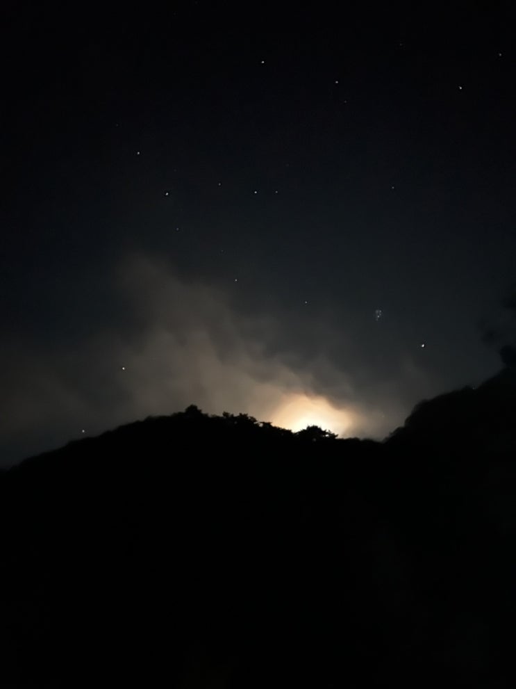  이번주도 돼지런