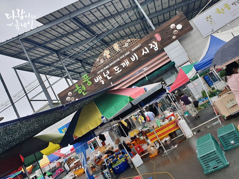 사진 5