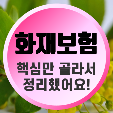  아파트화재보험비교 핵심만 골라서 정리했더니 바로 이 가격!