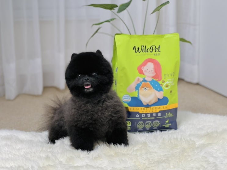 강아지 모질 케어하기 좋은 피부사료 윌로펫