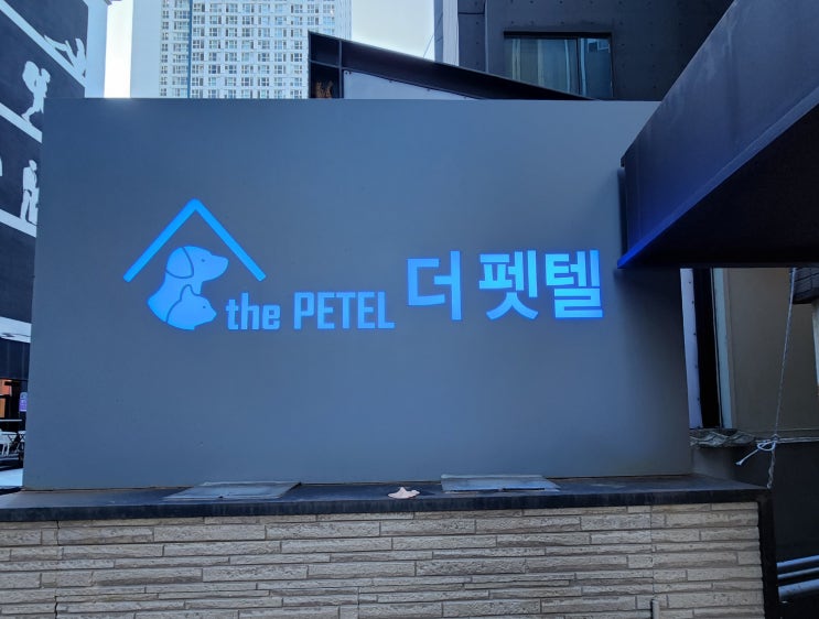  가성비 최강 부산 애견동반 호텔 더펫텔프리미엄스위트 내돈내산 후기