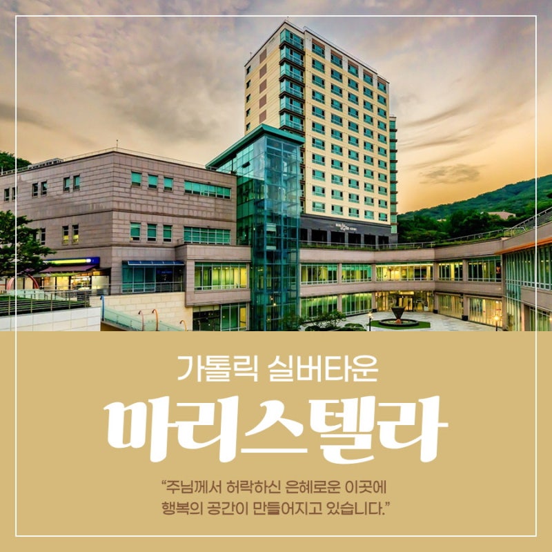 마곡 vl 루웨스트 실버타운 분양조건