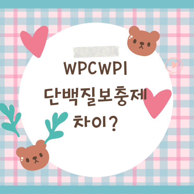  WPCWPI 단백질 보충제 차이, 제품 추천까지 총정리편!(2022.ver)