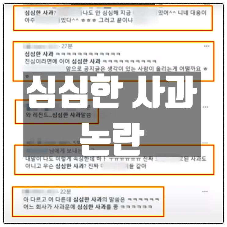  심심한 사과 문해력 논란에 대한 생각