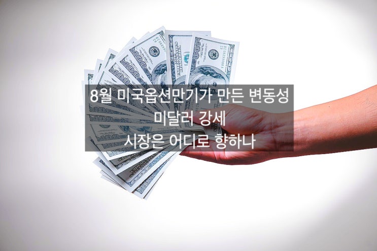  8월19일 미국 파생시장 만기일이 만든 변동성