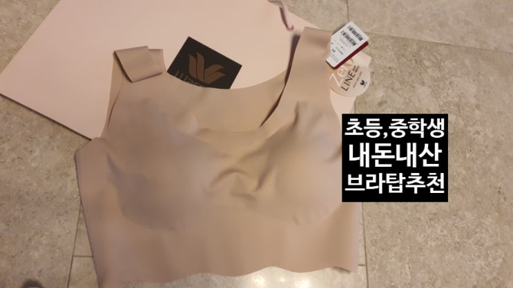  초등학생, 중학생 여아 속옷으로 무엇을 사야 할까? 정답은 '노와이어 심리스 브라'