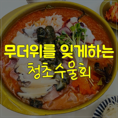  청초수물회 송파점 물회는 못참지!!!