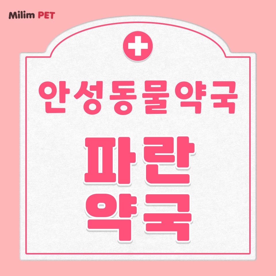 파란약국 사진 1