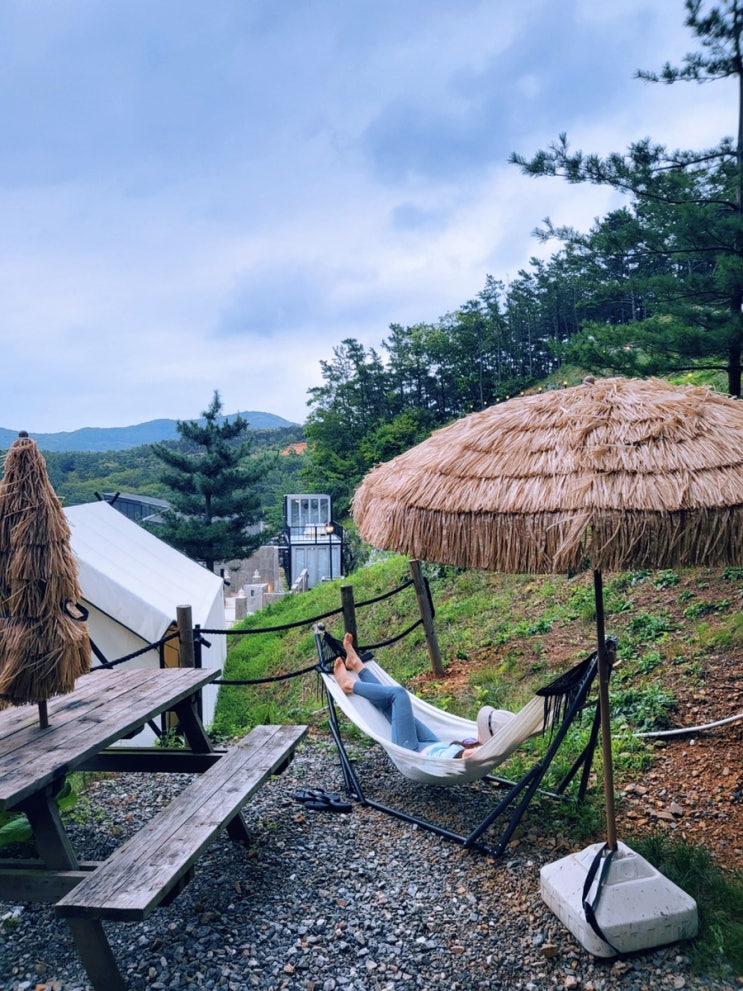 서울근교글램핑 &lt;블랙트리캠핑&gt; 블랙트리수영장 영흥도블랙트리 대부도캠핑장 대부도블랙트리 + 블랙트리의 유일한 단점 + 캠핑장보기