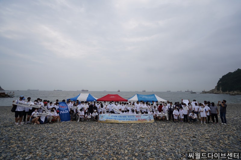 씨월드일상] Kee's 부산padi 어드 : beach