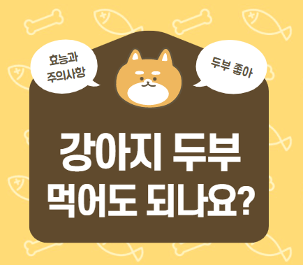  강아지 두부 먹어도 되는 음식일까?(효능과 주의사항까지)