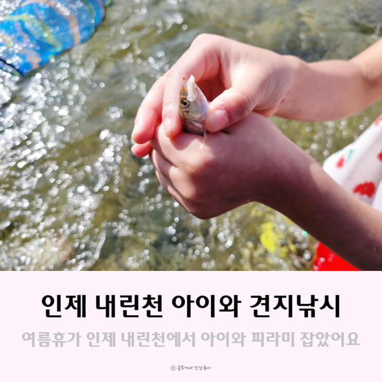 아이와 견지낚시, 인제 내린천에서 피라미 잡은 후기 아이와 견지낚시, 인제 내린천에서 피라미 잡은 후기
