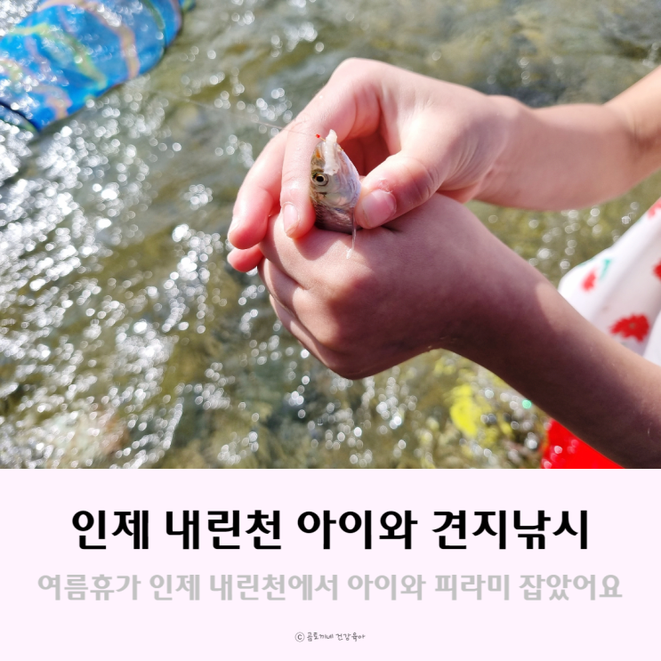 아이와 견지낚시, 인제 내린천에서 피라미 잡은 후기