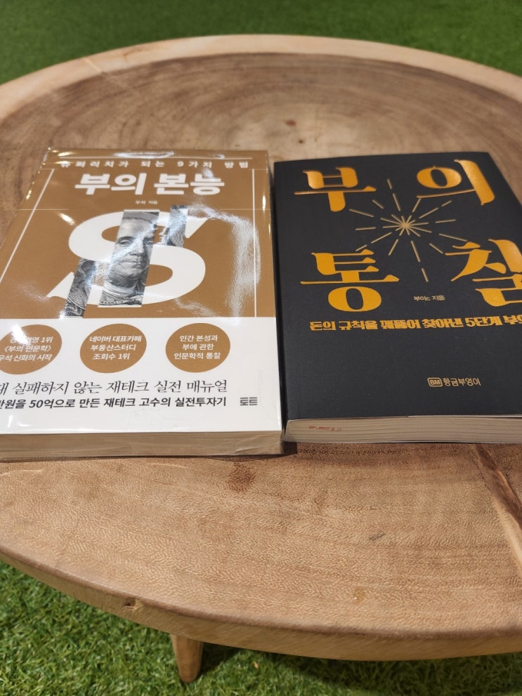  부의본능, 부의통찰 2권 픽업