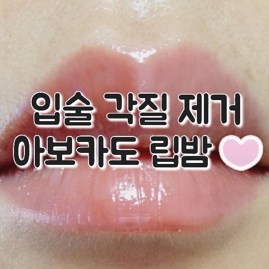  입술 각질 제거 스킨푸드 아보카도 립밤 추천