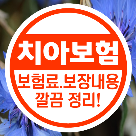  무진단치아보험 보험료 및 보장내용을 일목요연하게!