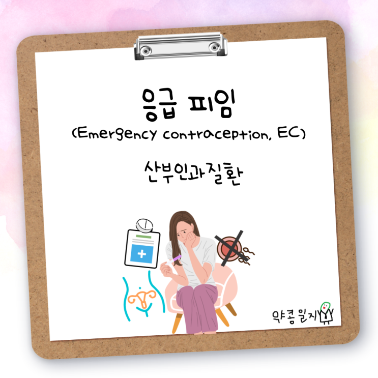  [산부인과 질환] 응급피임(emergency contraception)Ι 피임실패, 긴급피임, 관계 후 피임, 사후피임약, 자궁내장치, 유즈페법 등 A to Z