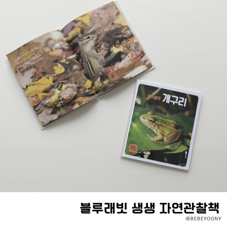 유아전집 자연관찰책 블루래빗으로 시작해요