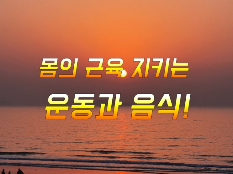 몸의 근육 지키는 운동과 음식!