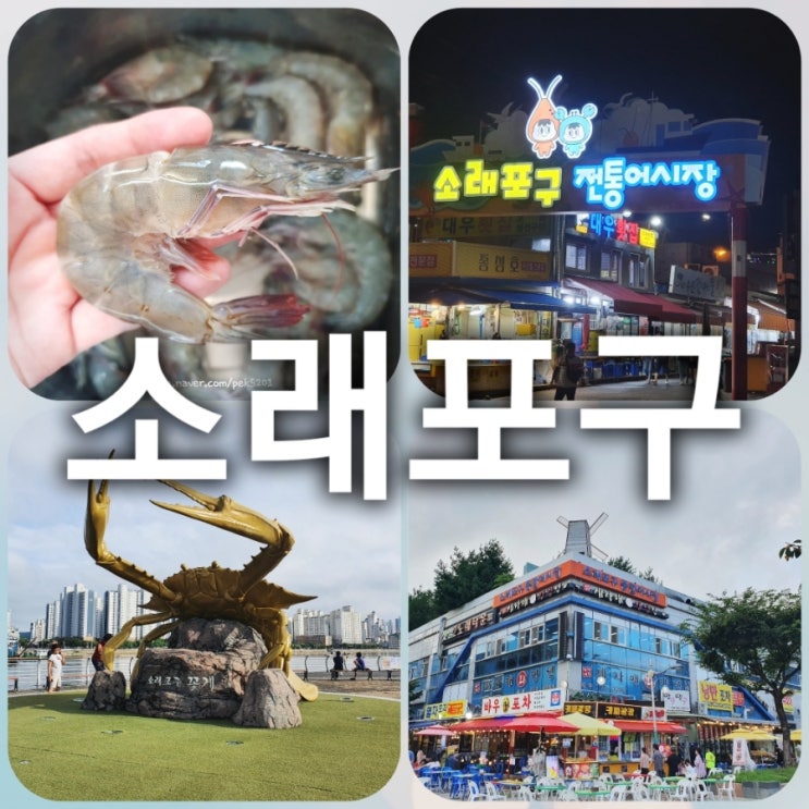  대하새우와 꽃게로 유명한 곳! 소래포구 어시장 구경하고 제철 대하새우 고르는 팁!전어도 제철!꽃게도 제철! 소래포구 주차팁,소래어시장 가는방법 안내