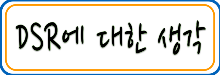  DSR에 대한 생각