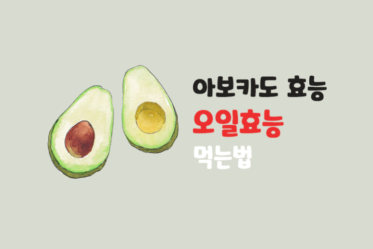  아보카도 효능(오일) 먹는법