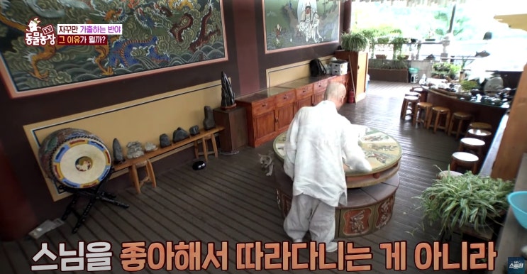  tv동물농장 1083회 응선사 탈출견 반야 출연진 재방송