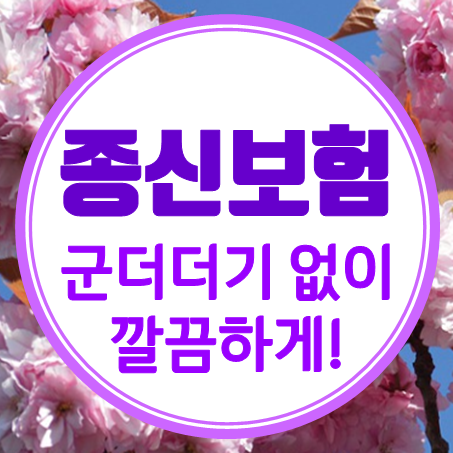  종신보험추천 군더더기 없이 아주 깔끔하게!
