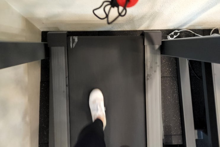  성수동 뚝섬역 PT 모스트짐 헬린이 5회차