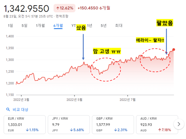  야망개미의 달러 환테크 도전기 (feat. 나는 붕어인가?)