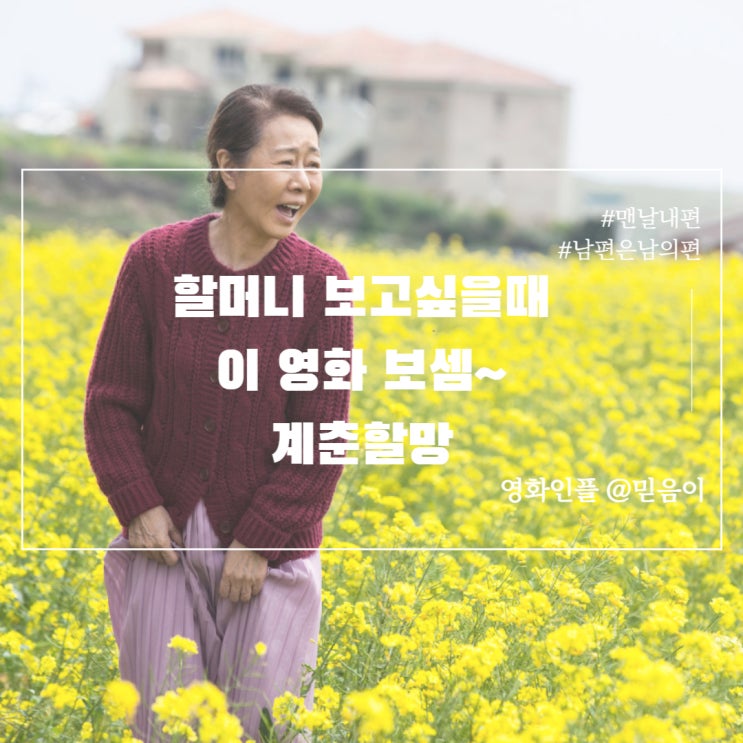  슬픈영화지만 볼만한 제주도 감성 영화 윤여정 김고은 주연의  한국 드라마영화 계춘할망 정보 평점 출연진 리뷰