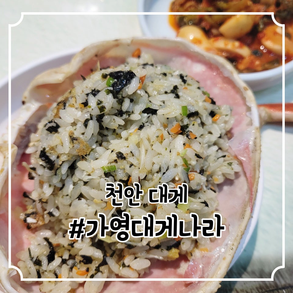 가영대게나라 사진 3