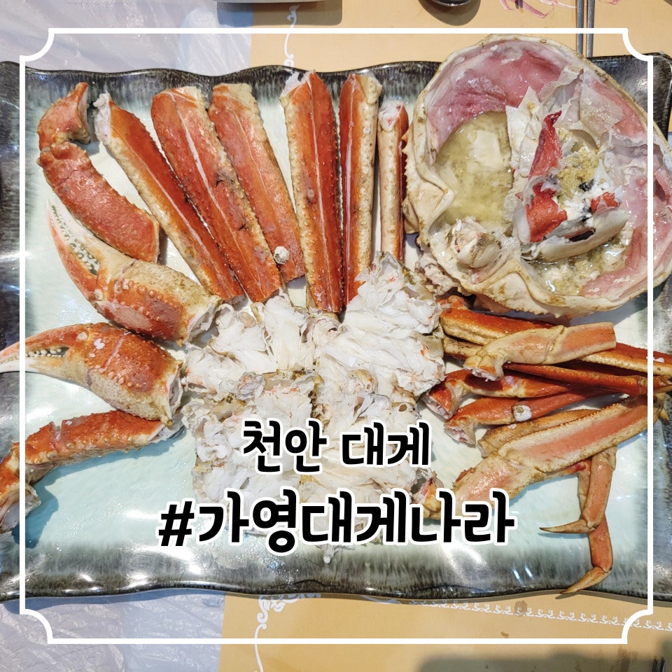 가영대게나라 사진 2