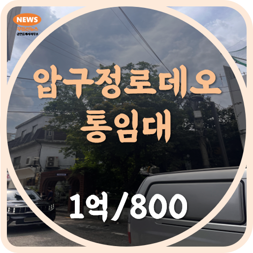  압구정로데오 상가 임대 통임대 주택상가