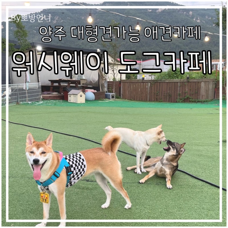 사진 4