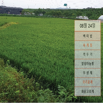  { 8월 24일 점심 }        메뉴안성, 용인 ,평택 ,도시락 배달, 회사. 공장.물류센타.점심식사배달,공장식사배달,뷔페식도시락배달전문