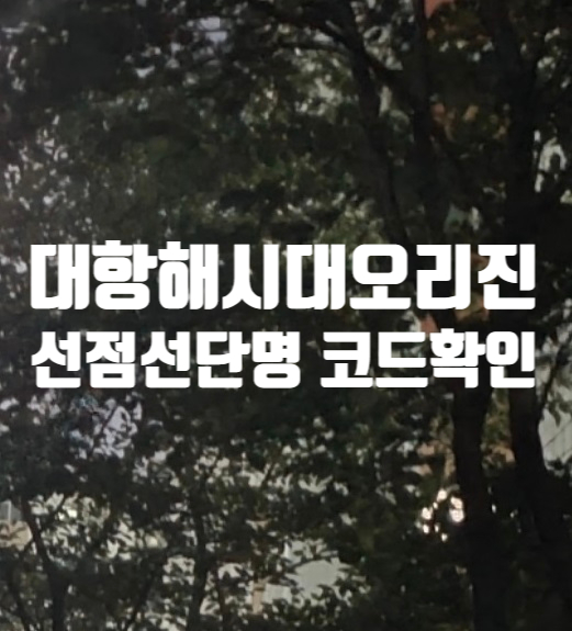 대항해시대 오리진 선점 선단명 코드 확인방법 및 사용법