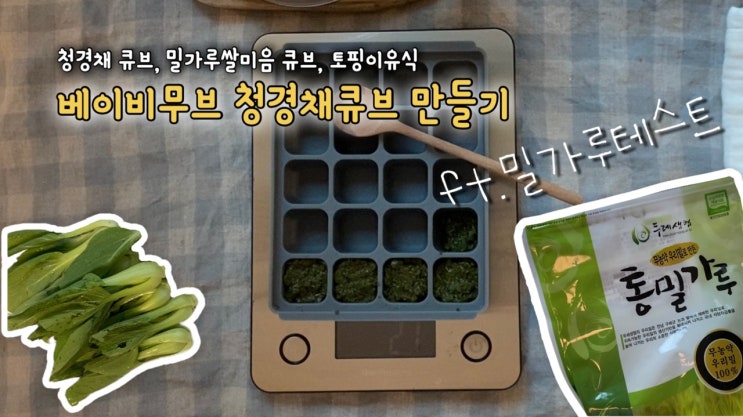  [초기이유식 #8]청경채 큐브 만들기 (ft.밀가루 테스트) - 녹변 & 변비 / 소면 촉감놀이