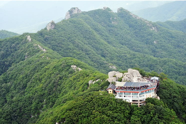 의원, <b>팔공산</b> 지킴이로 <b>국립공원 승격</b> 양팔 걷어 붙여 (22.08.... 