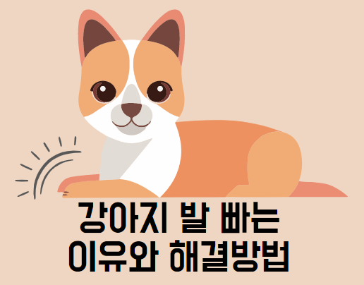  강아지 발 빠는 이유(강아지 발사탕)와 해결방법 알려드려요.