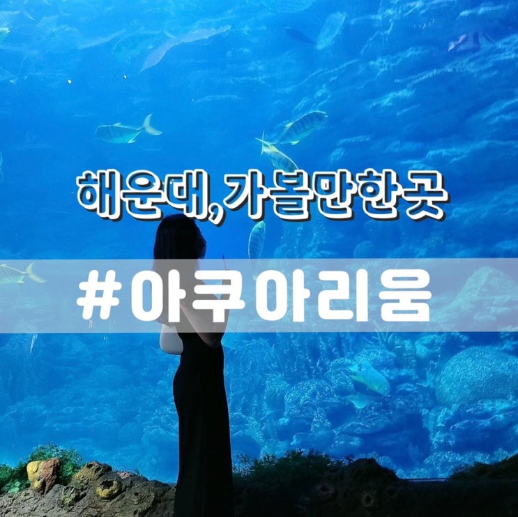 부산 해운대 아쿠아리움 아이와 가볼만한곳
