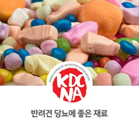 강아지 당뇨에 좋은  음식 소개 [댕밀헌/한국반려동물영양협회/애견수제간식/청주/공주/천안_986]