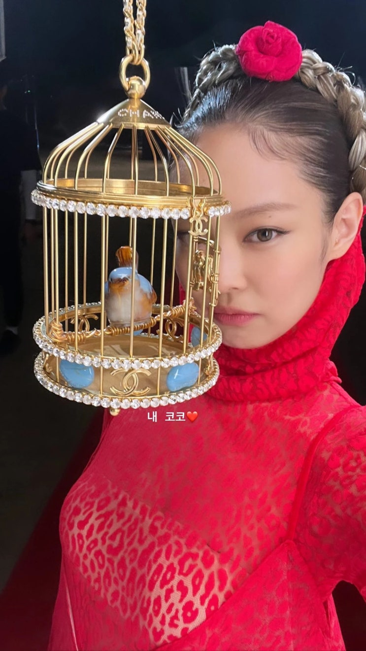블랙핑크 제니가 SNS에 올린 사진, 전신 시스루가 시선 사로 잡아...핑크 베놈 뮤비 촬영 현장 블랙핑크 제니가 SNS에 올린 사진, 전신 시스루가 시선 사로 잡아...핑크 베놈 뮤비 촬영 현장