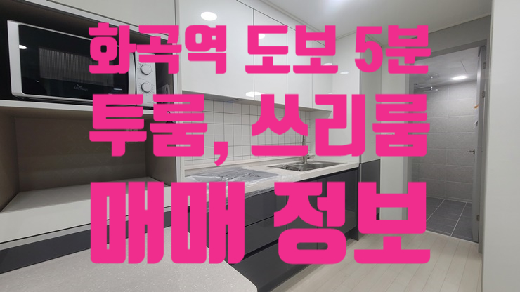  화곡동 투룸 쓰리룸 화곡역에서 5분 거리 은가람팰리스 매매 정보