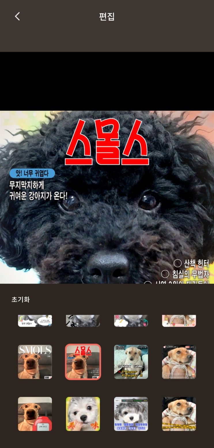  반려동물SNS 펫다이어리"스몰스" 반려동물카메라어플